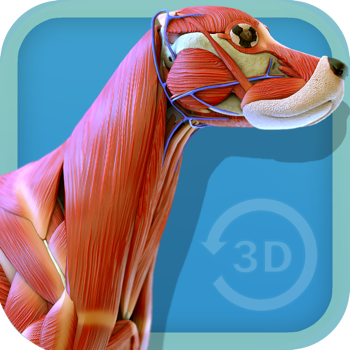 Visual Anatomy - Canine