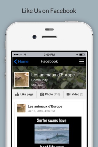 Nos Animaux screenshot 4