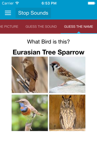 Spanish Birds and Sounds screenshot 3