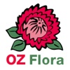 OZ Flora
