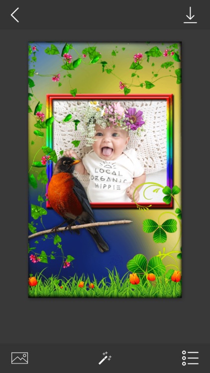 Bird Photo Frames - Make awesome photo using beautiful photo frames