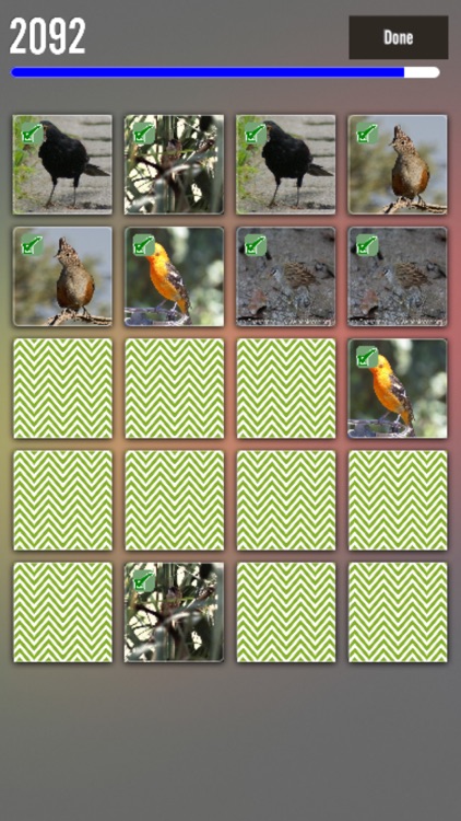 Birds Match The Pairs by Narcis Daniel