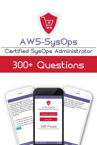 AWS Certified SysOps Administrator screenshot 2