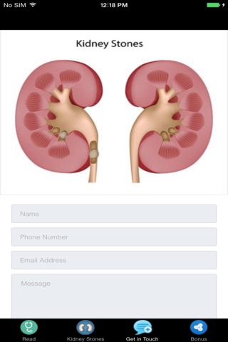 Kidney Stones Symptoms - Treatment Information screenshot 2