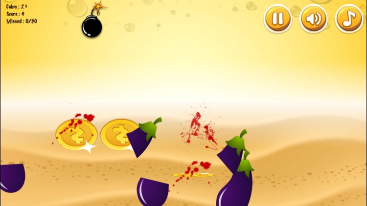 Vegetable Cutter Ninja Style screenshot-3