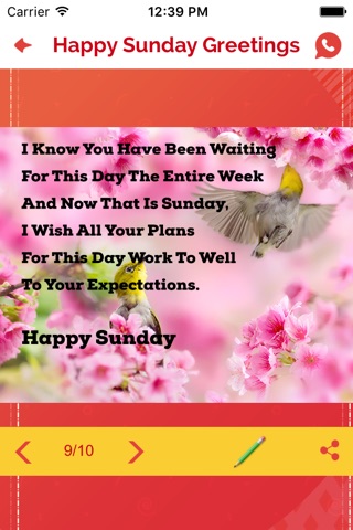 Add Text PicsArt Happy Sunday Pictures - Text2pic screenshot 3