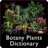 Botany Plants Dictionary English PRO