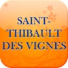 Saint Thibault Des Vignes