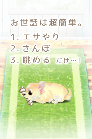 My Dog Life -Chihuahua Edition- screenshot 2