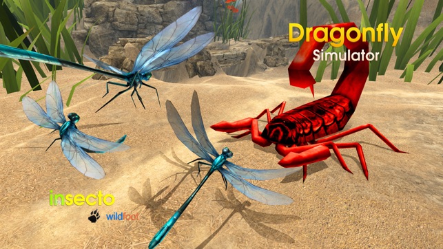 Dragonfly Simulator