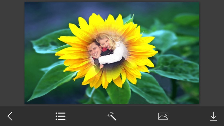 Sunflower Photo Frames - Creative Frames for your photo