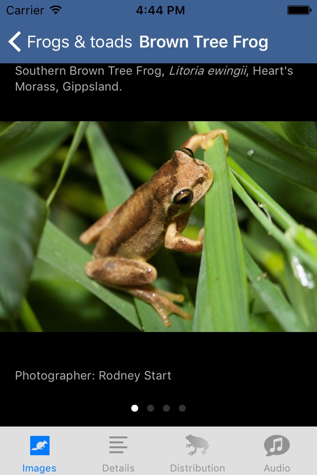 Wildlife Field Guide to Gippsland Lakes screenshot 2