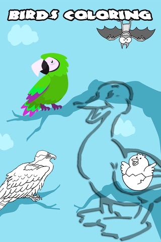 Birds Coloring Book - Animal Learning for Kids screenshot 2