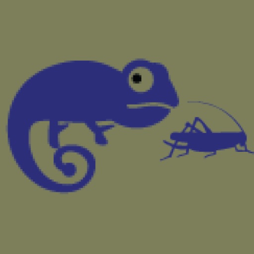 Cameleon Run - change cameleon color to eat cricket Icon