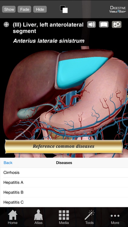 Digestive Anatomy Atlas 6 for Springer screenshot-4