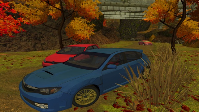 3D Mountain Rally Racing - eXtreme Real Dirt Road Driving Si(圖4)-速報App