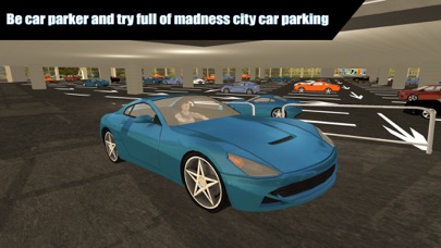 Crazy Valet: Parking Simulatorのおすすめ画像3