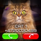 Top 40 Games Apps Like Fake Video Call Cat - Best Alternatives