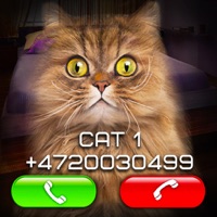 Fake Video Call Cat for PC - Free Download: Windows 7,10,11 Edition