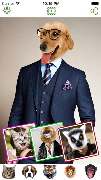 Animal Head Photo Sticker Booth Free - Funny Animals Face Changer Montage Maker