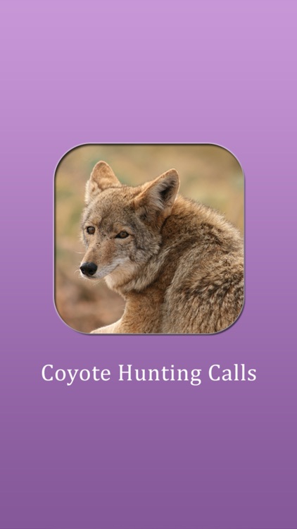 Coyote Hunting Calls!