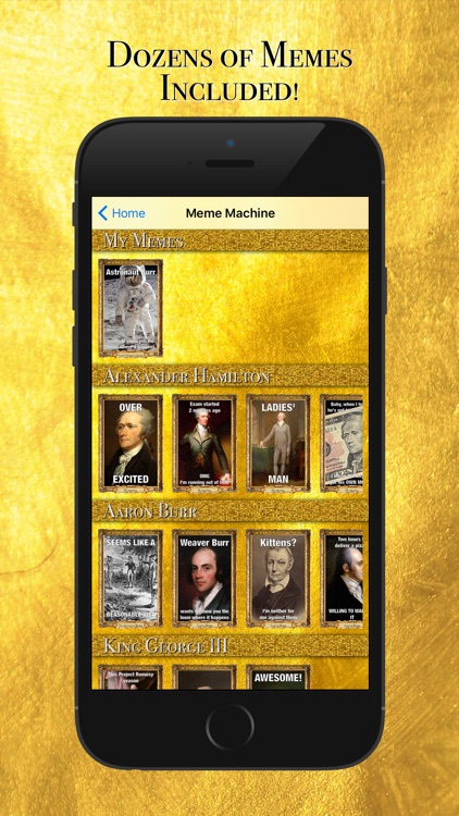 iHamilton screenshot-3