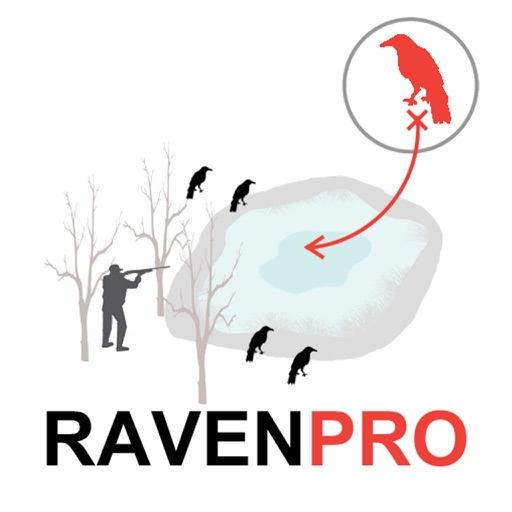 Raven Hunting Strategy - Hunting Simulator for Bird Hunting - Ad Free Icon