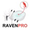Raven Hunting Strategy - Hunting Simulator for Bird Hunting - Ad Free