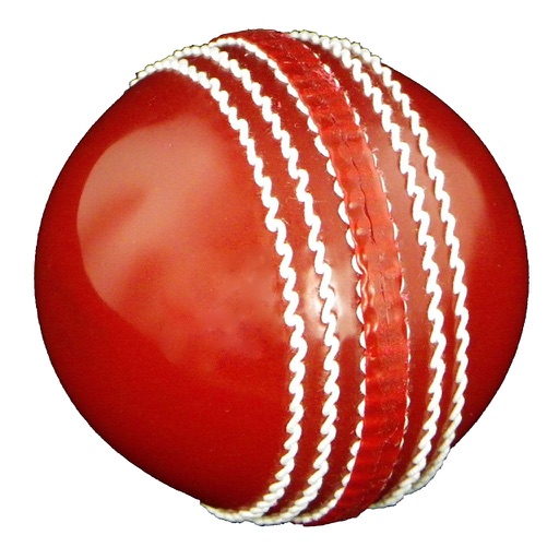 Rolling Cricket Ball Icon