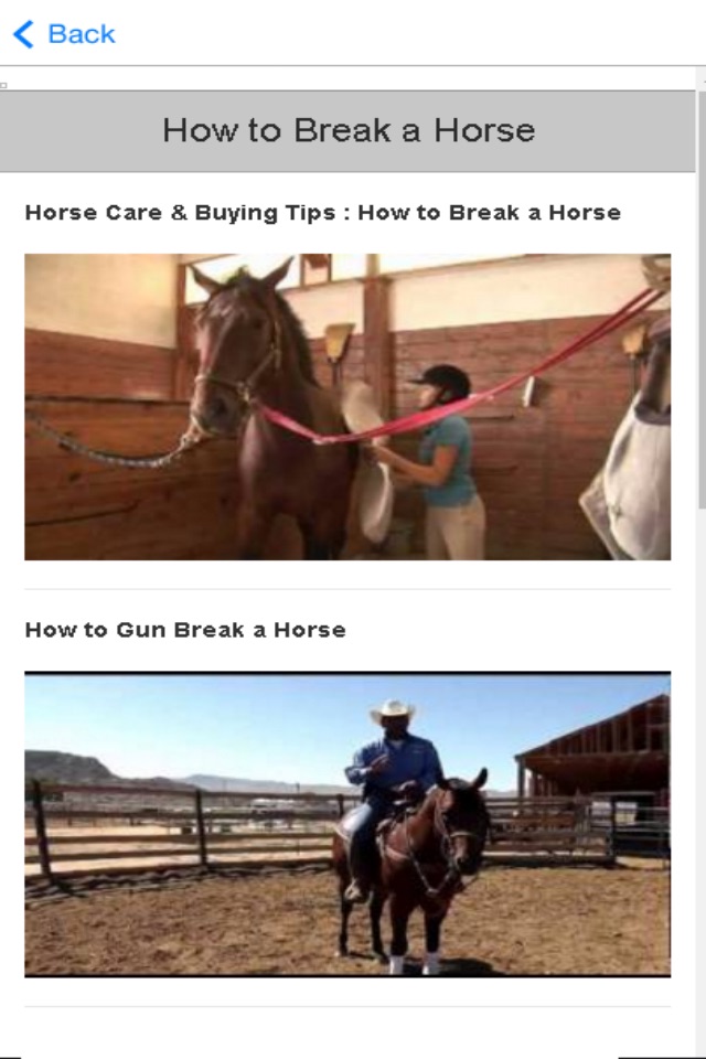 Horse Training - Learn How to Train a Horse screenshot 3