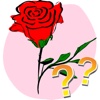 Varieties of roses - quiz