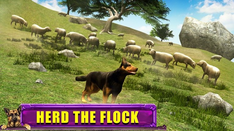 Shepherd Dog Simulator 3D screenshot-4