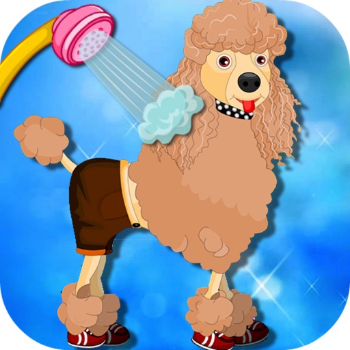 Cute Poodle Spa Day - Pet wash、Happy Animal Care iOS App