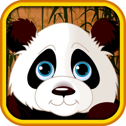 Best Panda Chinese Express Star Slots Pro Bubble Spins Casino