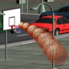 Real City Basketball