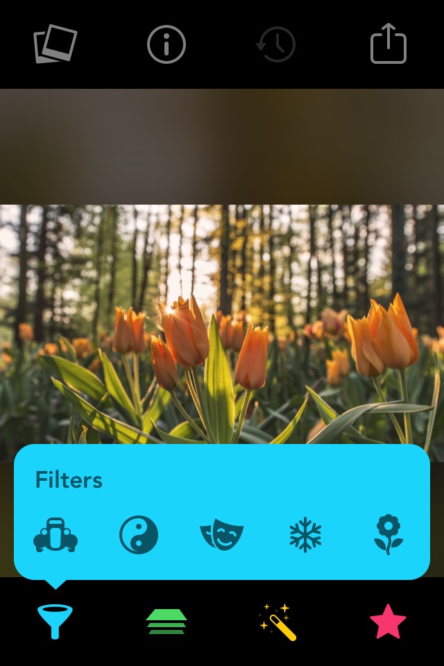 Filters for iPhone and iPad screenshot 2
