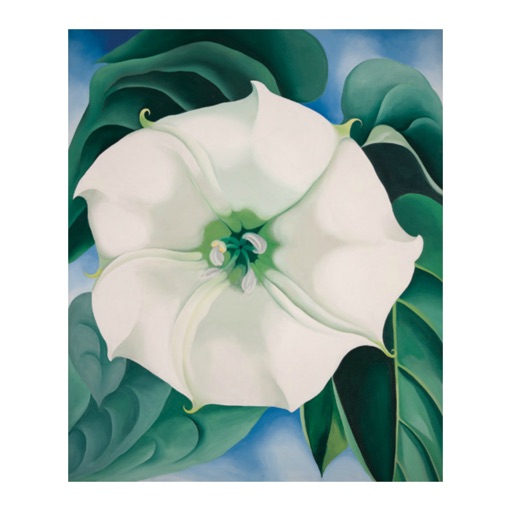 Georgia O’Keeffe icon