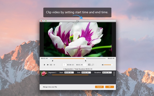 MP4 Converter- Video to MP4(圖4)-速報App