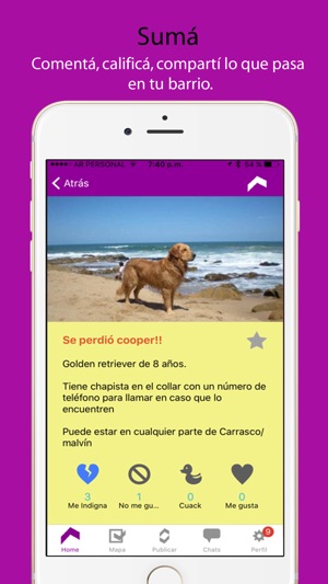 My Barrio App(圖5)-速報App