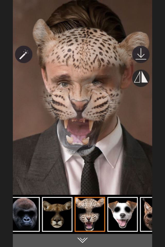 Animal Face - Selfie Editor & Stickers for Pictures screenshot 4