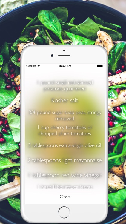Healthy & Quick Recipes screenshot-3
