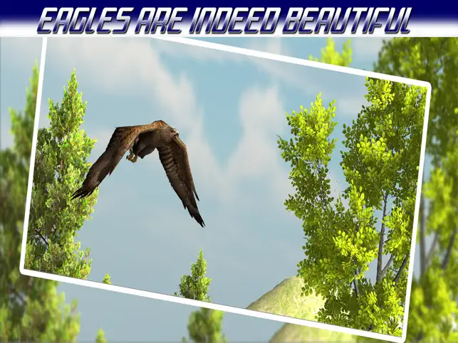 Bird hunting Game: Best Bird Hunter in Eagle Hunting Birds Game of 2016, game for IOS