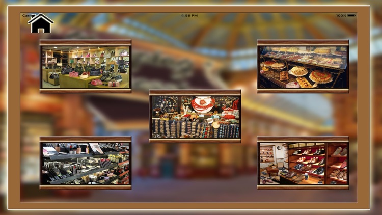 Shopping Obsession Hidden Object