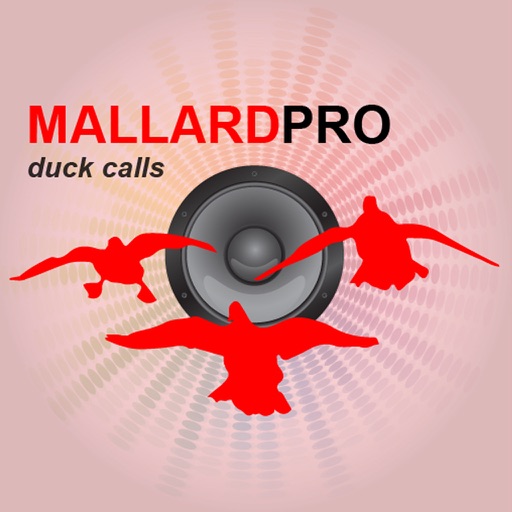 Duck Hunting Calls-Duck Sounds Duck Calling iOS App