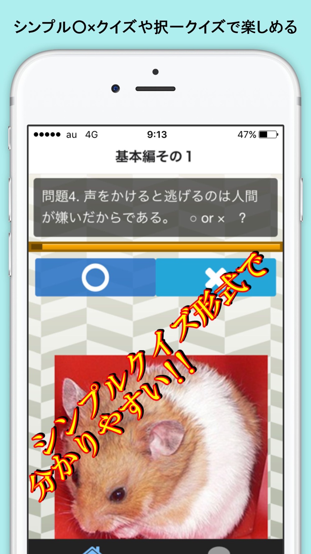 ハムスターの気持ちクイズ かわいいペット 飼育アプリ Free Download App For Iphone Steprimo Com