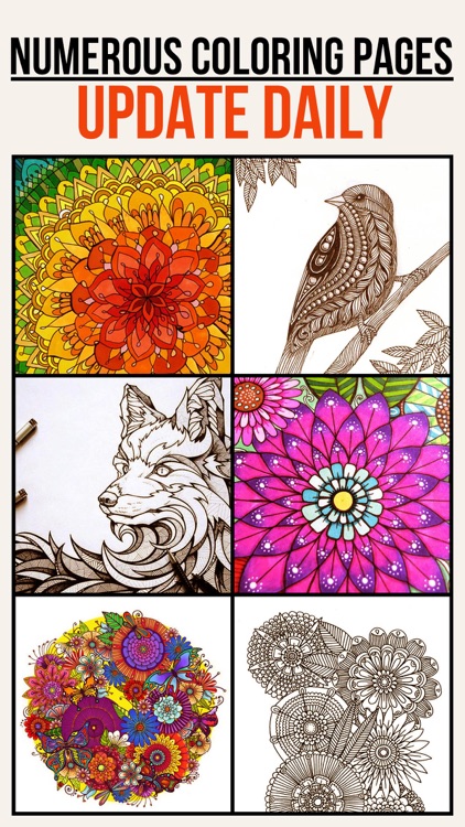 Colorfit - Adult Coloring Book - Secret Garden screenshot-0