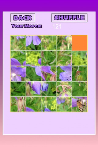 Daddeldu puzzle! - Free screenshot 4