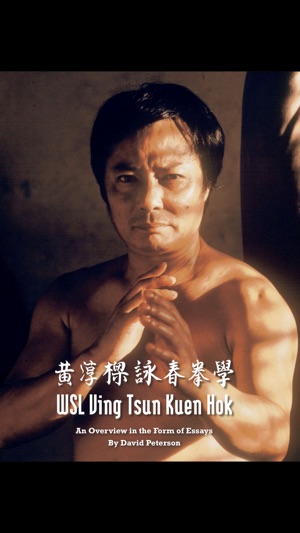 WSL Ving Tsun Kuen Hok(圖1)-速報App