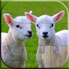 Activities of Cute Animals Puzzle - Relaxing photo picture jigsaw puzzles for kids and adults