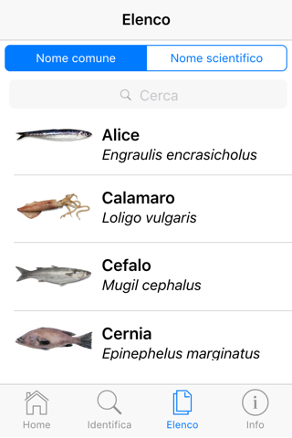 Che Pesce Sono? screenshot 3